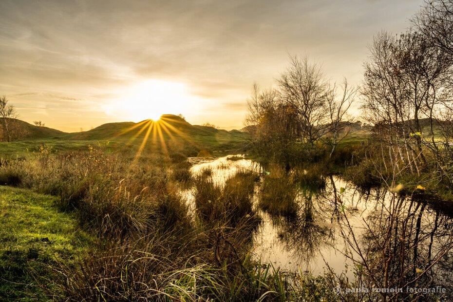 Fotograaf Zeepeduinen Burgh-Haamstede Sfeerfoto Zeepeduinen Burgh-Haamstede