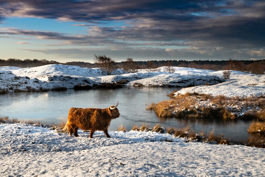 Fotograaf Zeepeduinen Burgh-Haamstede Sfeerfoto Zeepeduinen Burgh-Haamstede